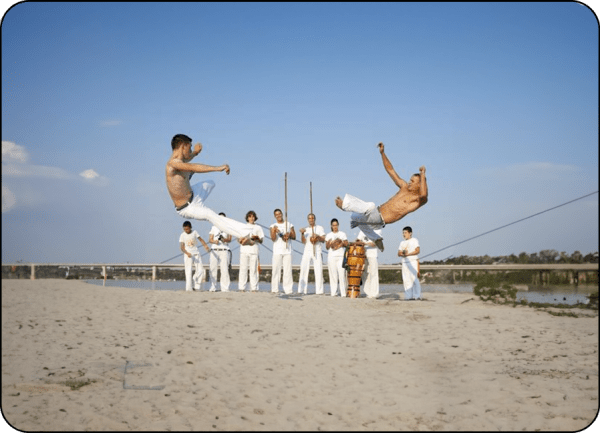 show capoeira soirée carnaval